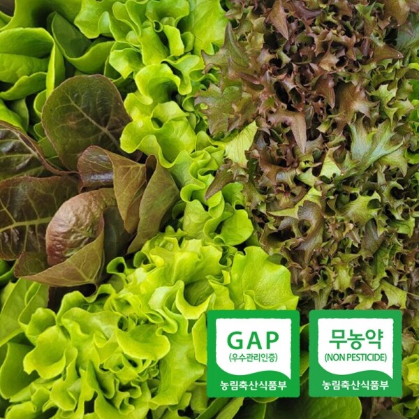 친환경 유러피안 야채샐러드1kg-[4월15일/수요일수령]